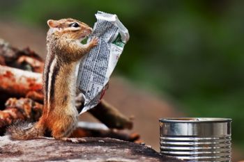 Hagers915 profile photo