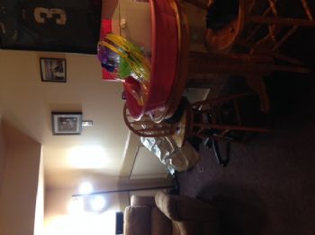 dclark401 profile photo