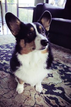 hank_63 profile photo