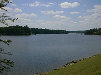 ciara003 profile photo