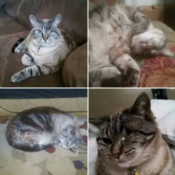 rece123 profile photo