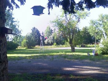 Pompeys1 profile photo