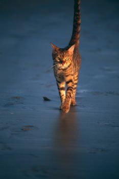 cjk1967 profile photo