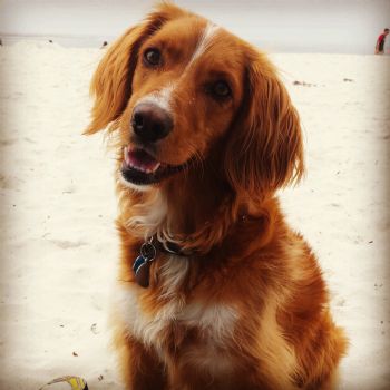 k8t.quick profile photo