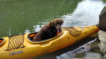 Kurtpollard profile photo