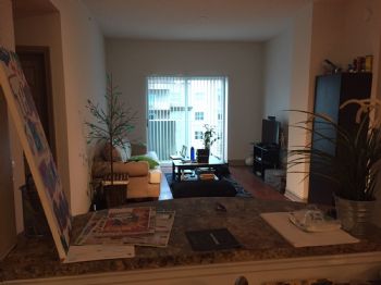 sebfields profile photo