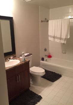 sebfields profile photo