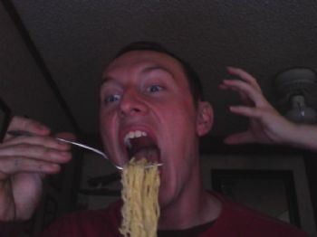 willdude profile photo