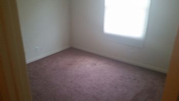 legolug profile photo