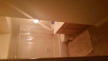 legolug profile photo