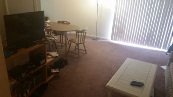 legolug profile photo