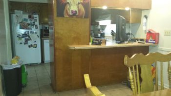 bernardi1332 profile photo