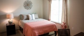 sirenar profile photo