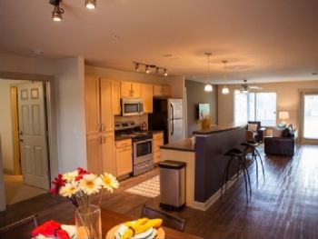 sirenar profile photo