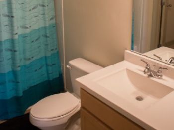 sirenar profile photo