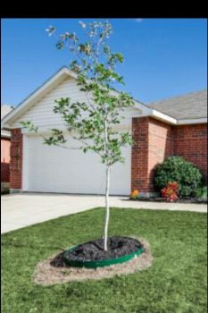 CrystalA34 profile photo