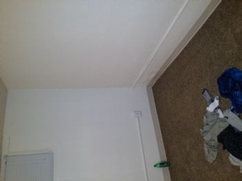 benschussel profile photo