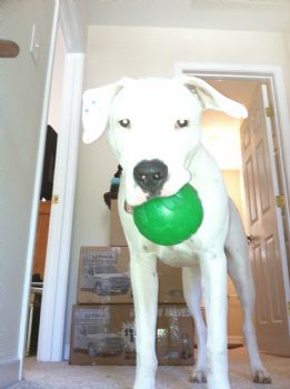 VictoriaC profile photo