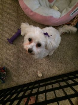 smiles22 profile photo