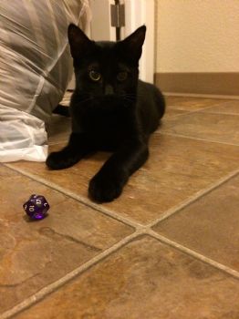 smiles22 profile photo