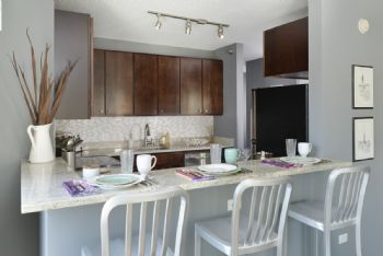 mikejohnson profile photo