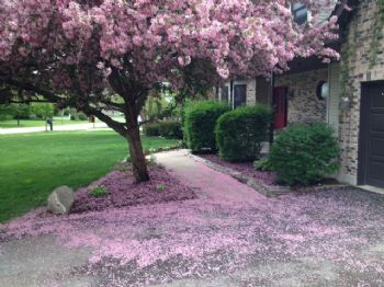 nicd12 profile photo