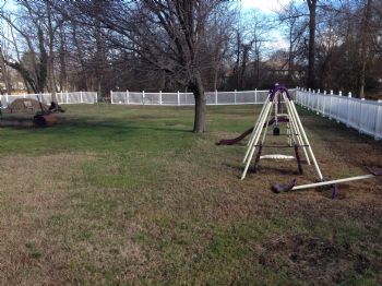 sunnyfield profile photo