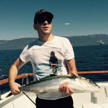 acraig117 profile photo