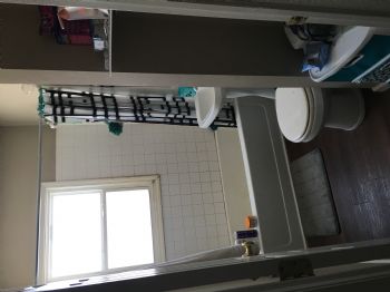 wslusser profile photo