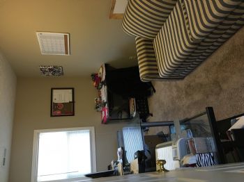 wslusser profile photo