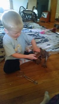 jtjessop88 profile photo