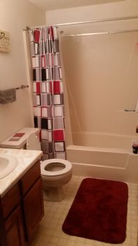 nniles profile photo