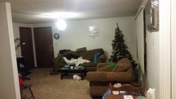 nniles profile photo