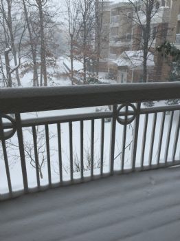 JChapman profile photo