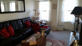 hlgordon46 profile photo