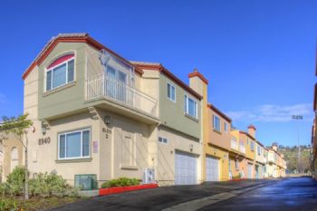 duan_s profile photo