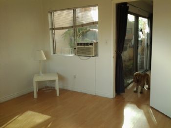 bpaganini profile photo