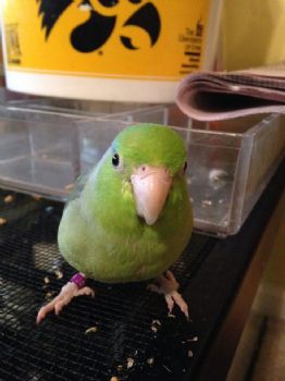 lkeltner profile photo