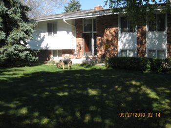 JackieMS profile photo