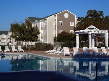 sarcat profile photo