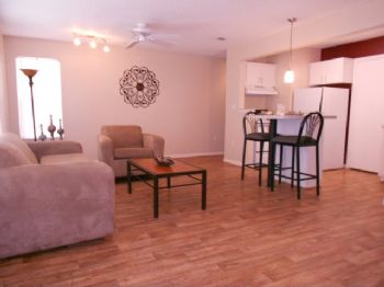 sarcat profile photo