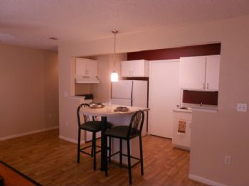 sarcat profile photo