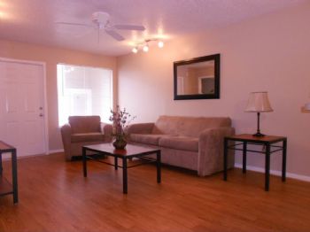 sarcat profile photo