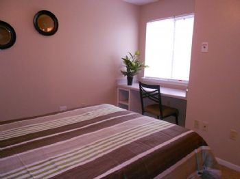 sarcat profile photo