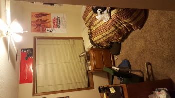 wmein35 profile photo