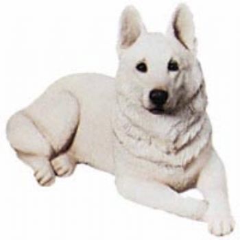 xero profile photo