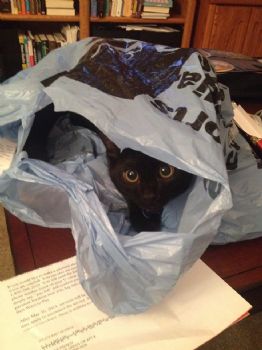 mfrench7058 profile photo