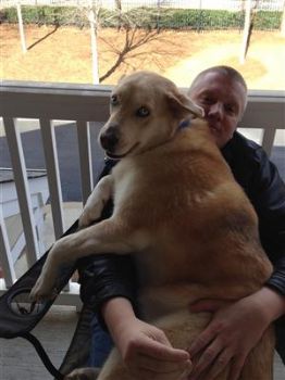 golson profile photo