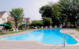 alyssashaine profile photo