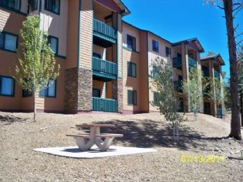 BlueArizona profile photo